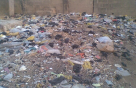 Yelwan Tsakani waste