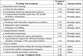 Factors affecting the Clinical Practice of Millennial Nurses