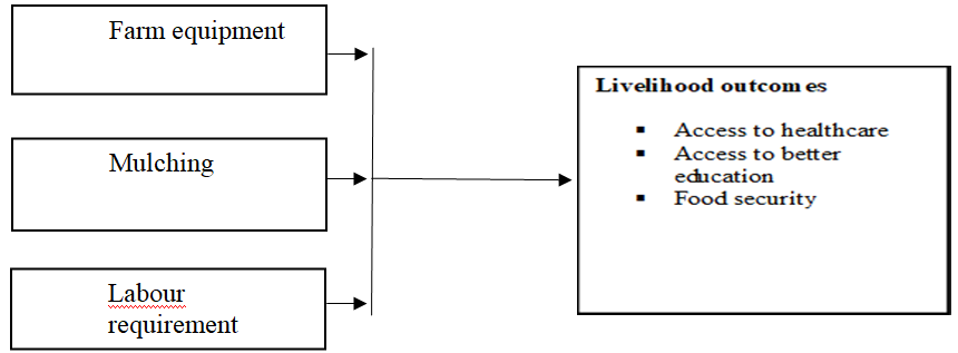 Conceptual Framework
