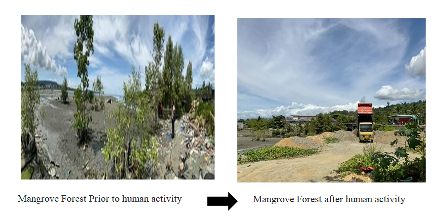 Various economic activities in the Mangrove Forest of the Wosi Village (source: private documents)