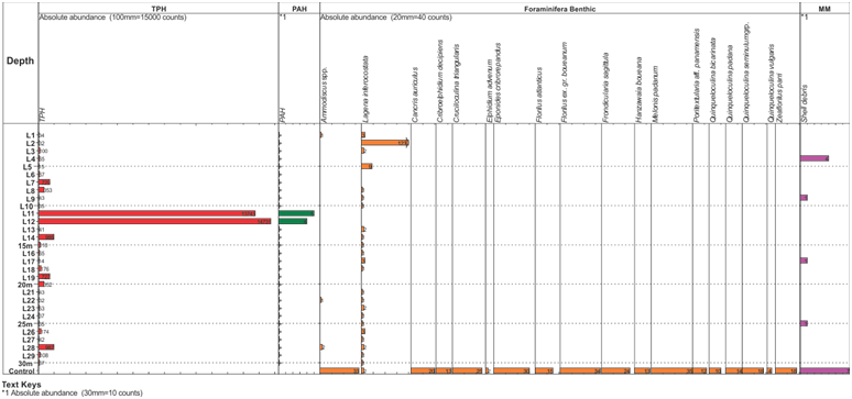 Plot of geochemical analysis (TPH/PAH) with micropaleontology for the upper (0.6 – 1m) composited sections.