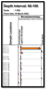 Different frequencies of occurrence of different taxa recovered from the sample preparation and analysis plotted as histograms for 60-100m intervals composited samples.