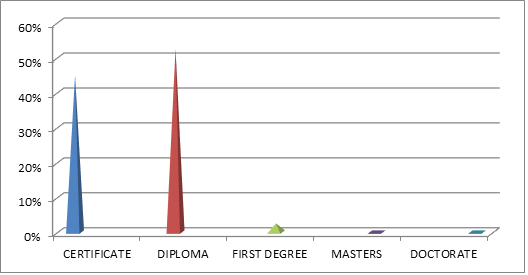 Academic qualifications (n=40)