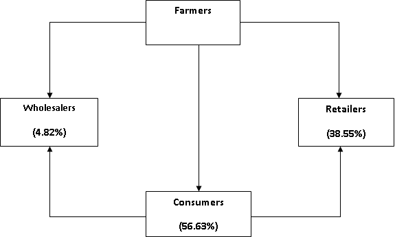 Schematic Representation of the Marketing Channels of Cassava Tubers