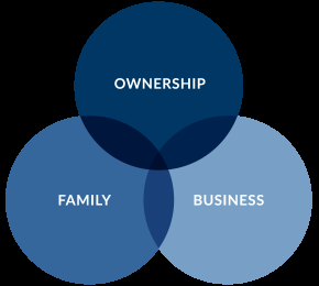 Family Business Literature Overview: Towards Achieving Family Business Growth