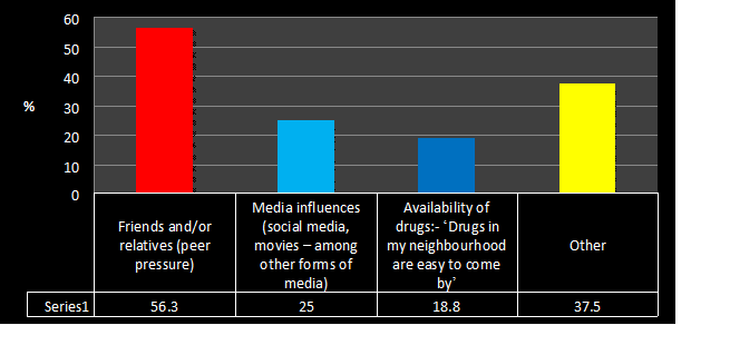 Other Social Factors Affecting Young People in Single Parent Households (5.7%)