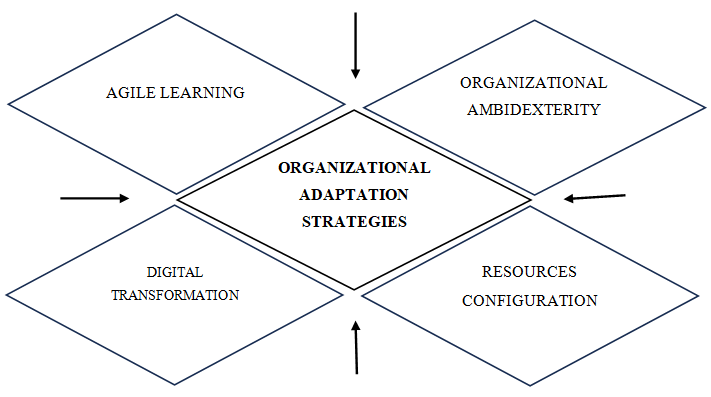 Conceptual Model