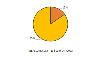 Percentage of Ascomycota and Basidiomycota collected in five different sample sites