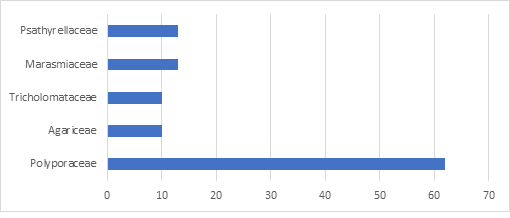 Families with the most number of species