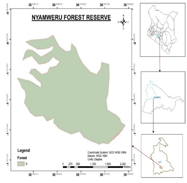 A map illustrating the Nyamweru forest.