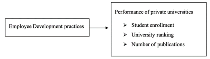 Conceptual Framework