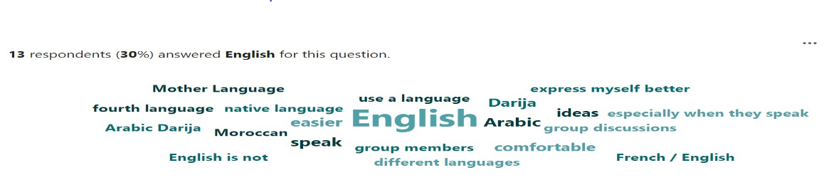word cloud visualization of the functions of code switching categories 