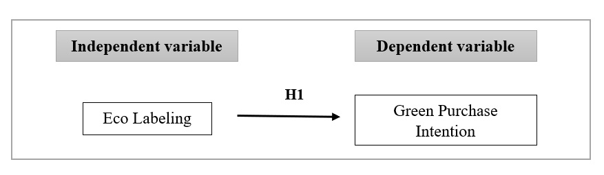 Conceptual Framework